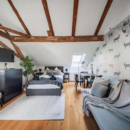 מלון דירות Innsbruck City Chalet אינסברוק