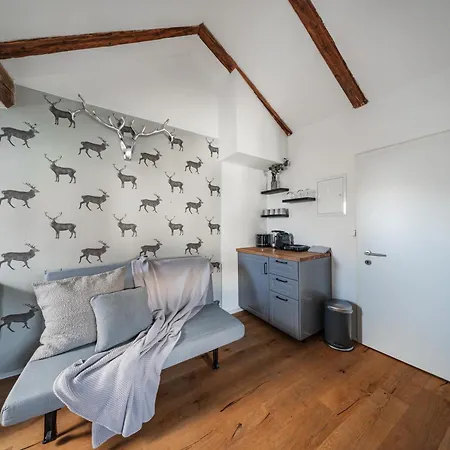 Innsbruck City Chalet Apart Otel İnnsbruck