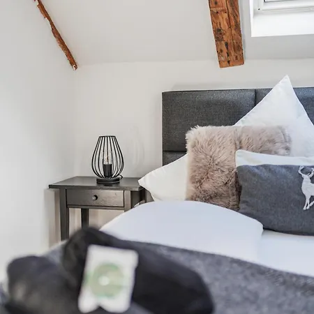 Innsbruck City Chalet מלון דירות 3*