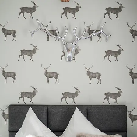 Innsbruck City Chalet 아파트호텔 3*